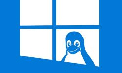 Featured image of post WSL: My config