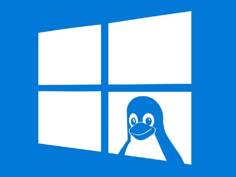 Featured image of post WSL: My config